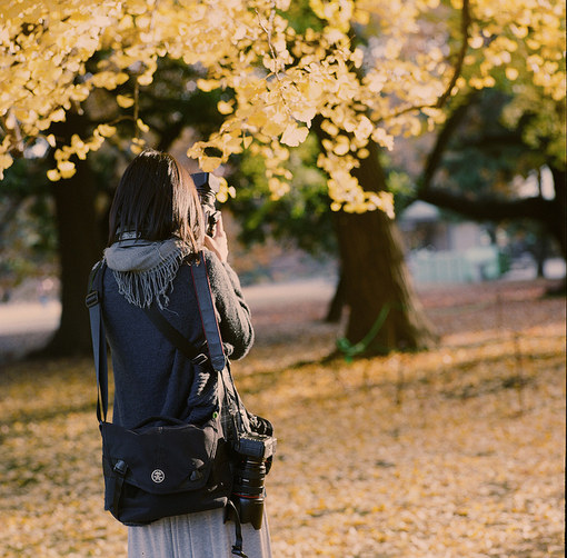 清新簡(jiǎn)單又有哲理的唯美英文句子帶圖片15