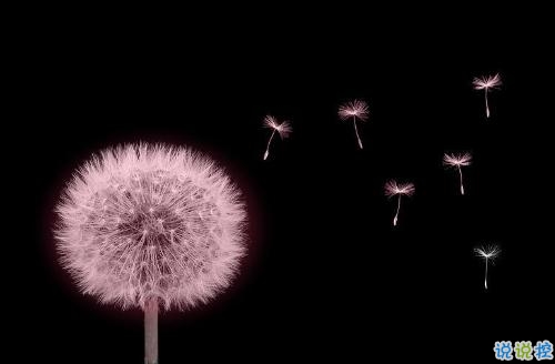 我們都琢磨不透的愛情說說帶圖片 忘記一個人的傷感說說心情12