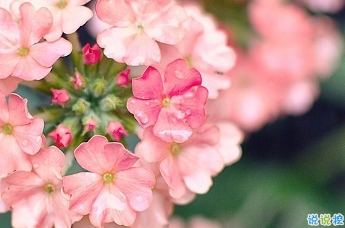 特別經(jīng)典人生的說說值得收藏帶圖片 朋友圈吸引人的經(jīng)典說說9