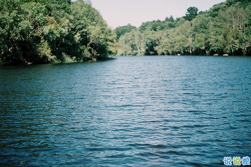 14條很美很好聽的文藝唯美說說帶圖片 森系文藝范古風(fēng)說說7