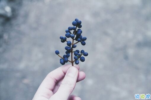 溫暖治愈系情感說(shuō)說(shuō)帶圖片 愿你迷路到我身旁15