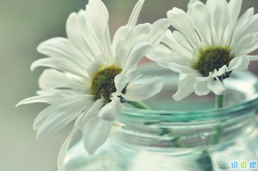 戀愛中的唯美心情說說帶圖片 遇到對的人感到幸福的說說11