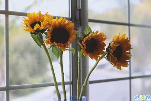 一個(gè)人掙扎的說(shuō)說(shuō)傷感心累帶圖片 睡不著心里不舒服的說(shuō)說(shuō)9