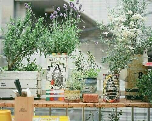 優(yōu)美有詩意的唯美文藝英文說說帶圖片13