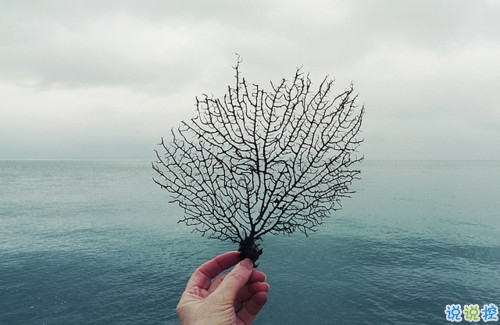 突然很懷念過(guò)去的說(shuō)說(shuō)內(nèi)心難受 真的很想很想一個(gè)人的說(shuō)說(shuō)7