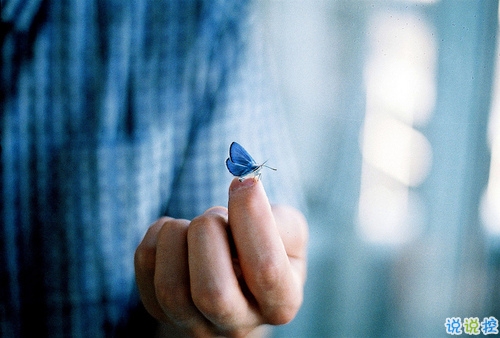 文字控偏愛(ài)的文藝小清新簡(jiǎn)單的唯美句子帶圖片4