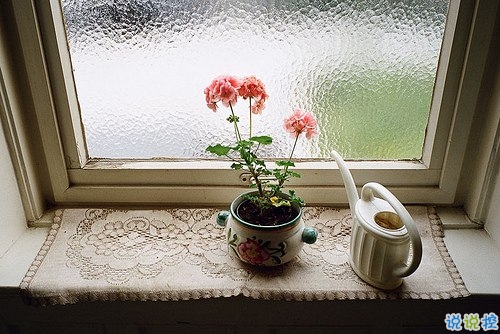 有些傷感的關(guān)于人生和成長的說說帶圖片 生活的本質(zhì)就是離別1