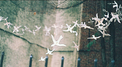 超傷感的00后難過心痛說說帶圖片 樹深時霧起海深時浪涌13