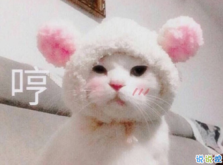 女生超甜的心情說說關(guān)于愛情帶圖片 很甜很撩的話適合發(fā)朋友圈配圖13