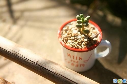 朋友圈早安勵志句子長一點的 美好的一天勵志句子新的開始2