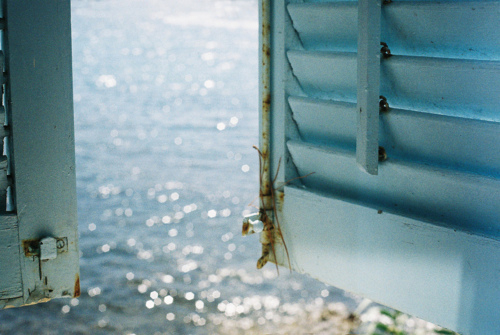 90后00后必看的關(guān)于人生和如何慢慢成熟的哲理句子1