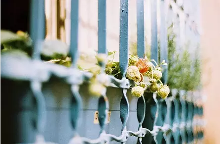 2018最新寫(xiě)給傻傻的自己配圖 傻傻的話(huà)寫(xiě)給自己一段話(huà)圖片9