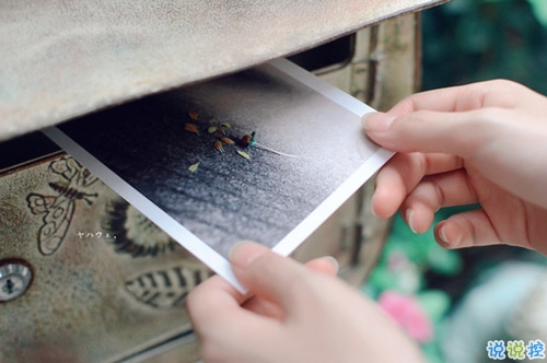 一眼足以驚艷你的句子 文藝青年喜歡的唯美句子1