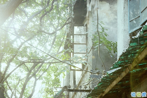 女生個(gè)性說(shuō)說(shuō)經(jīng)典霸氣帶圖片 知道自己不討喜那就乖一點(diǎn)10