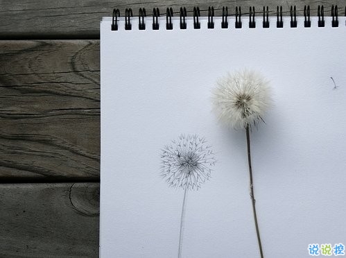 關(guān)于愛情簡單又有道理的句子配圖 愛情是一個人的天荒地老14