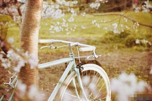 關(guān)于現(xiàn)實生活人生的哲理說說帶圖片 一個人活著應(yīng)該永遠要把目光投向遠方14