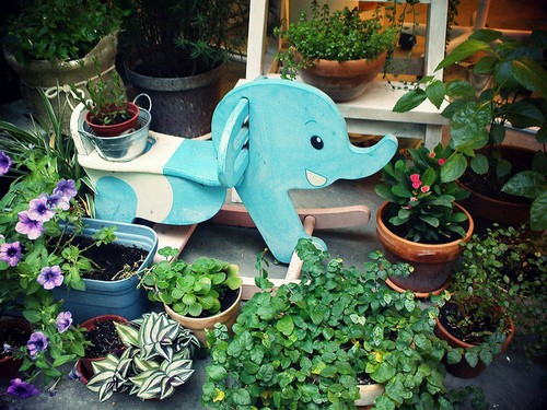 唯美文藝說說帶圖片 想做一個長長的夢回到十九歲那年9