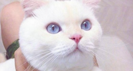 那些讓人捧腹大笑的搞笑職場(chǎng)生活說(shuō)說(shuō)帶圖 發(fā)呆是每個(gè)上班族的心愿6