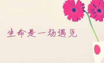 關(guān)于一輩子的愛(ài)情甜蜜說(shuō)說(shuō)配圖 我會(huì)讓我的愛(ài)陪你慢慢的老去9