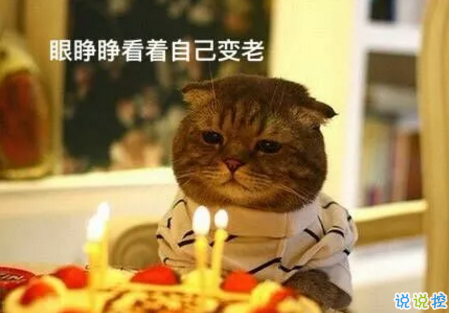 祝自己生日快樂的話搞笑圖片 發(fā)朋友圈表達(dá)自己生日搞笑個性說說20189