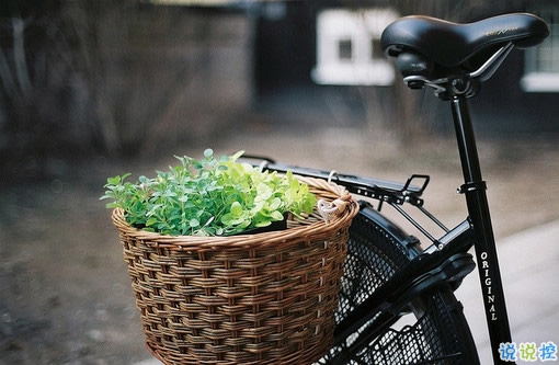 2018點(diǎn)贊最多的說(shuō)說(shuō)加圖片：速熱的人也速凍，熱鬧的人易散場(chǎng)14