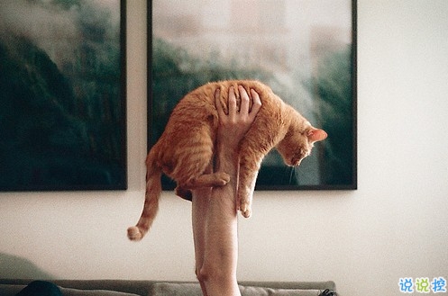 女生個(gè)性說(shuō)說(shuō)經(jīng)典霸氣帶圖片 知道自己不討喜那就乖一點(diǎn)3