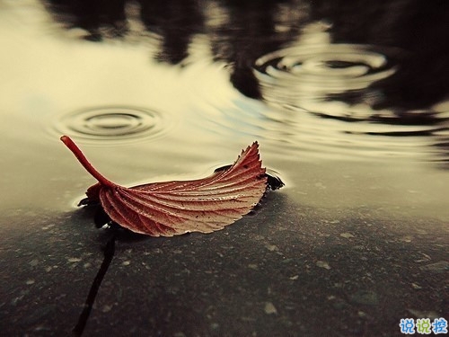 獨(dú)一無(wú)二微信個(gè)性說(shuō)說(shuō)帶圖片 路那么長(zhǎng)少一些人也無(wú)妨10