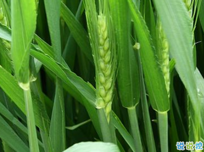 2019谷雨朋友圈說(shuō)說(shuō)配圖 谷雨節(jié)發(fā)朋友圈的說(shuō)說(shuō)優(yōu)美3