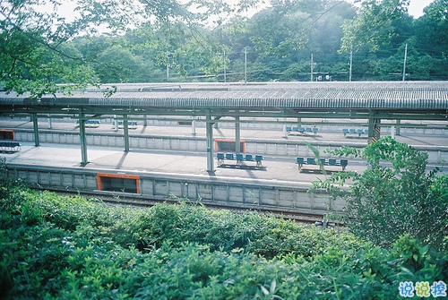 那些和青春夏天有關(guān)的唯美簡(jiǎn)單小清新圖片句子 陽(yáng)光傾落風(fēng)雨都不舍3