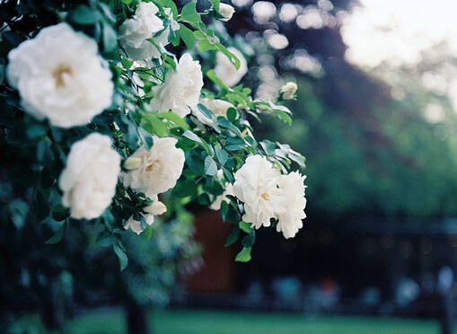 甜蜜的少女心愛情小情話說說帶圖片 我喜歡走在你的身后這樣你就成了我的方向2