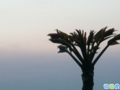 秀恩愛的優(yōu)雅句子簡(jiǎn)單好聽配圖 我的心為你跳動(dòng)15