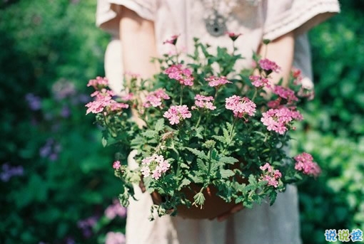 戀愛中的唯美心情說說帶圖片 遇到對的人感到幸福的說說5