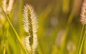 在夢(mèng)里也會(huì)潸然淚下的說說帶圖 如果時(shí)光倒流峩捫能抓得住什么9