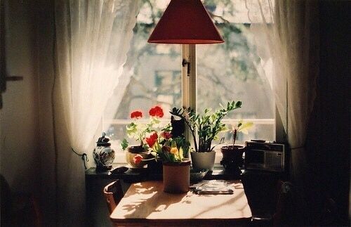 喜歡一個人的甜蜜小情話說說帶圖片 不愿再研墨執(zhí)筆因?yàn)樽掷镄虚g全是你7