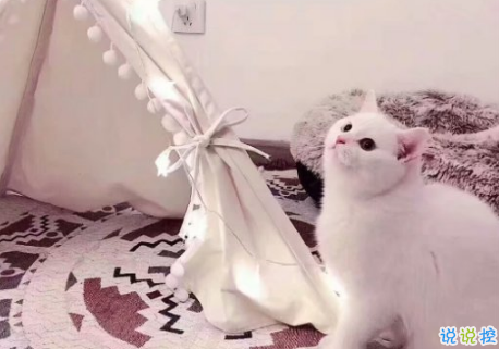 2018最近流行的個(gè)性說說簡(jiǎn)短 哥哥我能踩在你的aj上親你嗎1