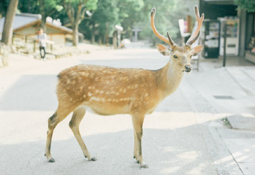 關(guān)于生活的哲理有道理說說帶圖片 生活總是這樣不能叫人處處都滿意但我們還要熱情地活下去4