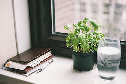 關(guān)于青春和成長(zhǎng)的適合文藝女生發(fā)說(shuō)說(shuō)的句子帶圖片9