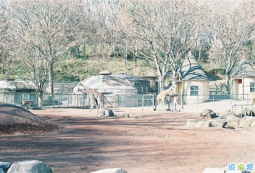 2019最新經典說說給人希望 激勵人心的經典說說帶圖片2