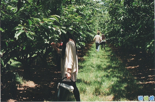 文字控關(guān)于青春成長的唯美說說和圖片 年華是一場(chǎng)無聲劇11