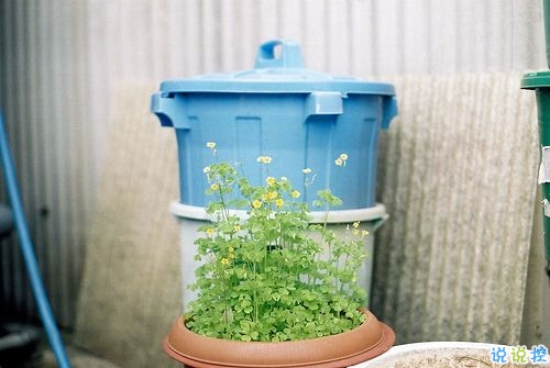 表達(dá)愛(ài)意的唯美句子配圖 肯定能打動(dòng)你心的唯美說(shuō)說(shuō)帶圖片6