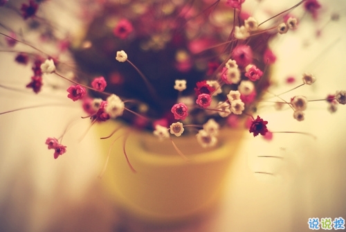 為明天而努力的勵(lì)志說(shuō)說(shuō)致自己 有關(guān)于積極奮斗的勵(lì)志說(shuō)說(shuō)共勉3