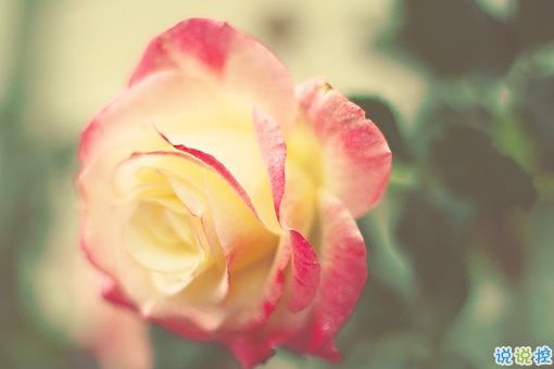 2019關于春分的微信說說帶圖片 春分節(jié)氣早安祝福語14