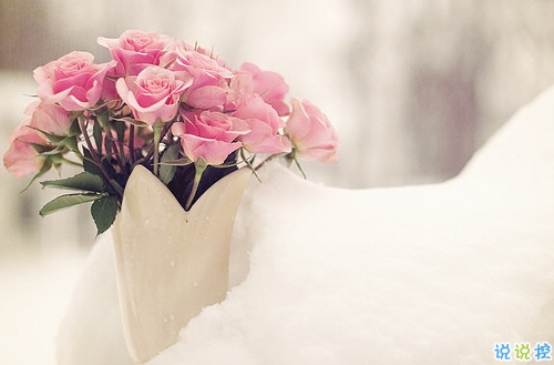 女生超拽霸氣說(shuō)說(shuō)配圖大全 現(xiàn)在最火的心酸短句帶圖片5