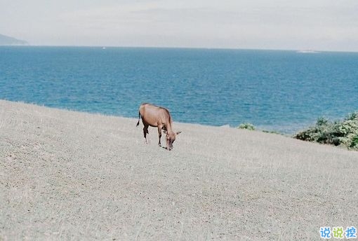 比較特別的女生說(shuō)說(shuō)2019精選帶圖片 忍不住想點(diǎn)贊的女生說(shuō)說(shuō)8