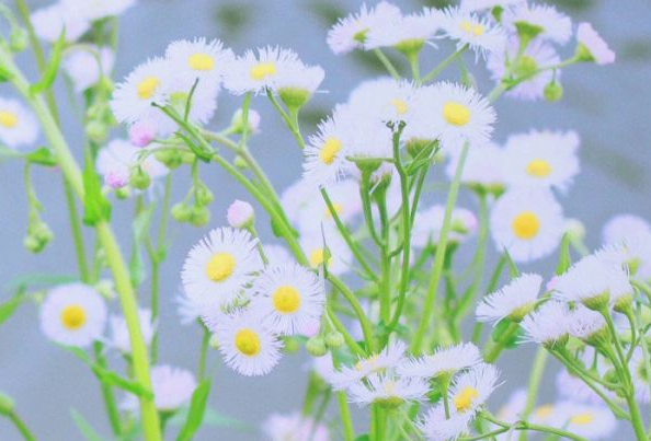 電影電視劇中會(huì)出現(xiàn)的唯美經(jīng)典的韓文說(shuō)說(shuō)14