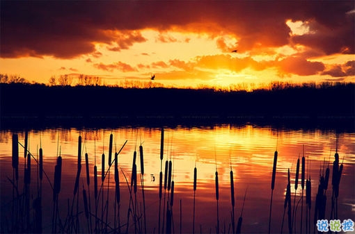 晚安說(shuō)說(shuō)勵(lì)志好心情一句大全帶圖片 簡(jiǎn)單一句晚安心語(yǔ)勵(lì)志配圖12