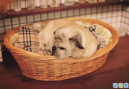 幽默有趣的說說大全一秒鐘笑哭 讓人樂在其中的搞笑說說帶圖片1