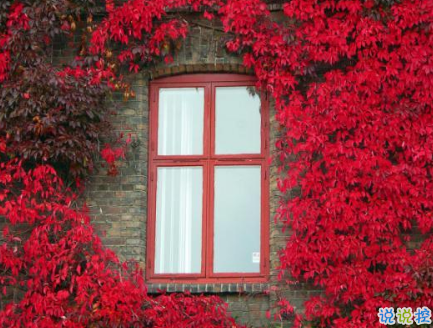 絕望心死在崩潰邊緣的說說 一個(gè)人心累人也累的說說大全2