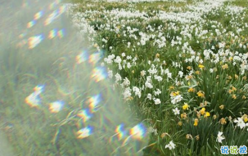 16條適合發(fā)朋友圈的旅行句子配圖 旅行句子表達(dá)心情短語最新版5