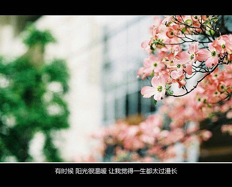 超傷感難過(guò)悲傷的愛(ài)情說(shuō)說(shuō) 你是我枯水年紀(jì)里的一場(chǎng)雨3